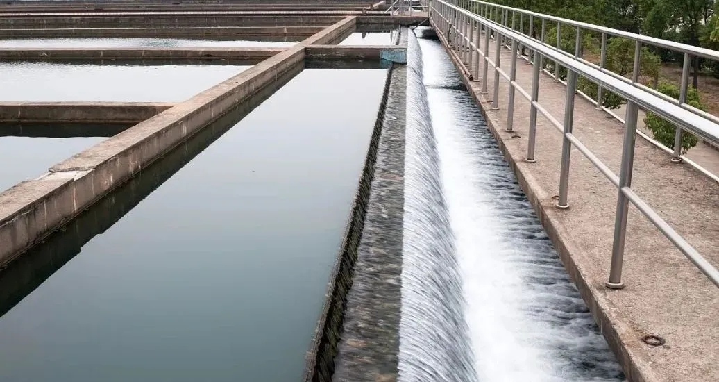 1675417782342739.png 1675417782342739.png